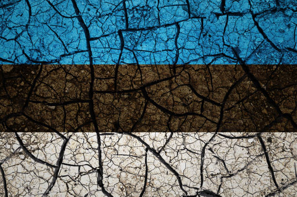 istock Dry soil pattern on the flag of Estonia. 1433131253