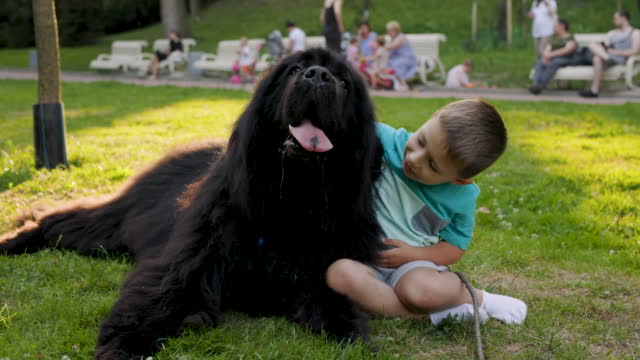 A boy sits in a park on the grass and strokes his dog Newfoundland against the background of people