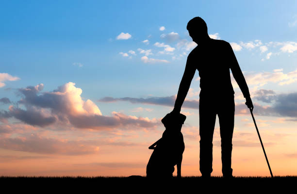 Concept of blind people with guide dog Silhouette of a blind disabled man stroking his dog guide. The concept of blind people with guide dog blindness stock pictures, royalty-free photos & images