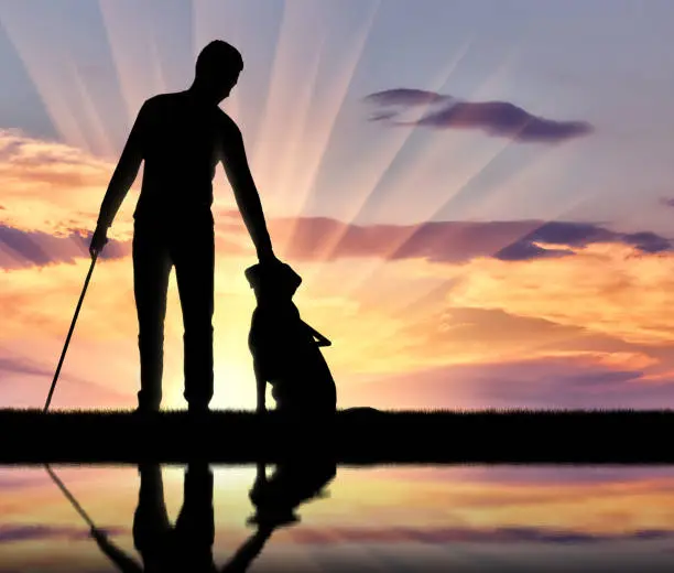 Photo of Silhouette of a blind disabled man stroking his dog guide