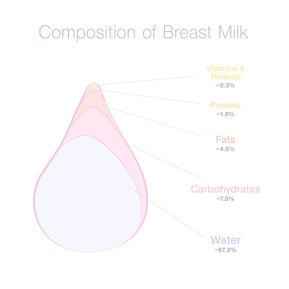 Composition of human breast milk - water, carbohydrates, fats, proteins, vitamins and minerals in a drop of mothers milk. Infofgraphic with percentage of substances. Vector illustration on white.