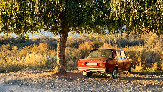 Atmospheric romantic image of an old red soviet car parked a the big willow in a sunset light