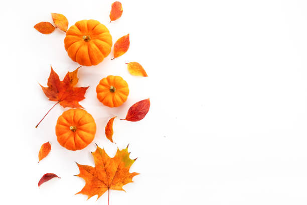 istock Pumpkins with fall leaves over white background. Top view. 1433135726