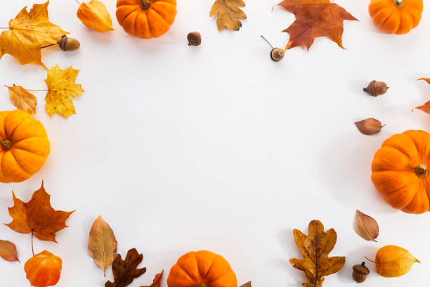 istock Pumpkins with fall leaves over white background. Top view. 1433137072