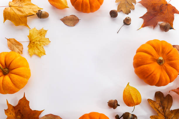 istock Pumpkins with fall leaves over white background. Top view. 1433137210