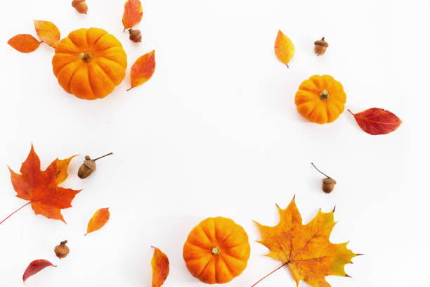 istock Pumpkins with fall leaves over white background. Top view. 1433137394