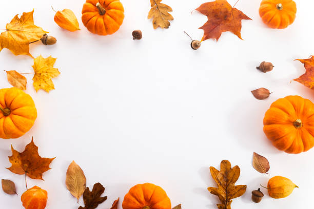 istock Pumpkins with fall leaves over white background. Top view. 1433137503