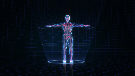 Hologram human anatomy and skeleton on a dark background, 3D rendering