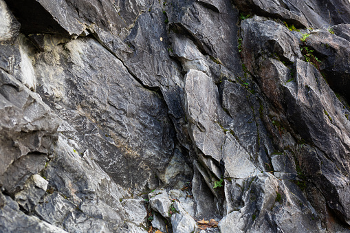 Columnar basalt rock at Sheepeater Cliffs in Yellowstone National Park, Wyoming. Lichen cover rock.