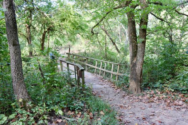 istock Old Wood Footbridge 1433142422