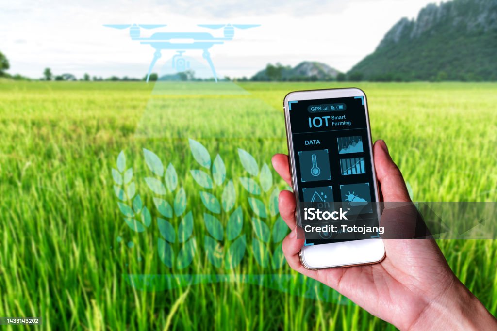 Iot Rice Field Controller App Paddy Rice Field With Digital Info For Checking And Control The ...