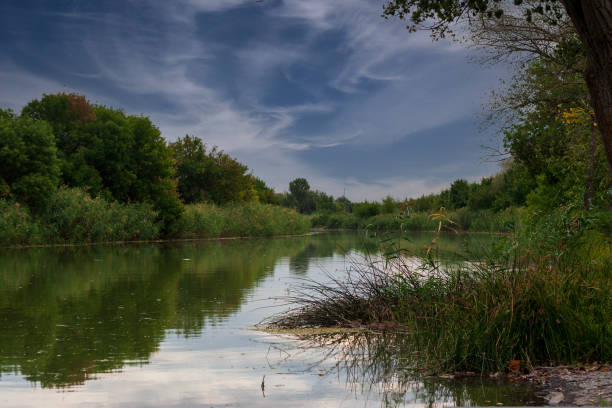istock River Rhine in is reflecting morning sun rays 1433145349