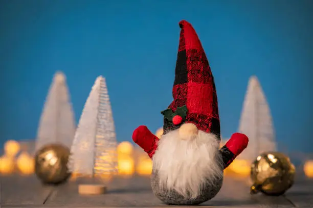 Photo of Christmas Gnome