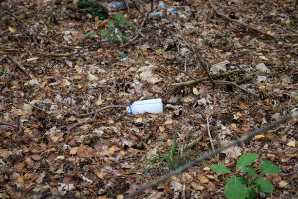 istock Garbage problem in the forest .  Plastic trash in the forest. Tucked nature.  World ecology problem. Save the world concept 1433150070