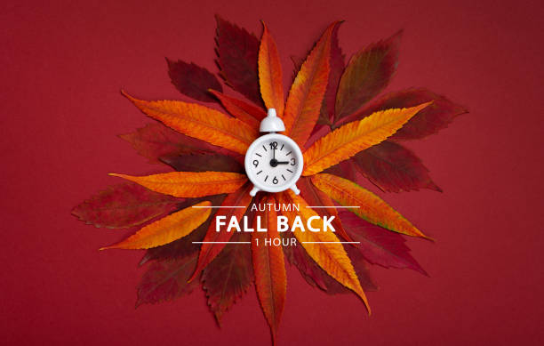 istock Fall Back, Autumn Time Change Concept. White Alarm Clock and Orange Autumn Leaves on Red Background. 1433151528