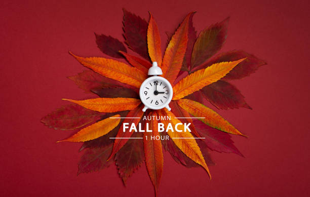 fall back, autumn time change concept. white alarm clock and orange autumn leaves on red background. - clock time alarm clock orange imagens e fotografias de stock