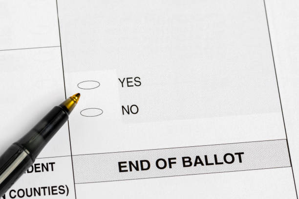 Election ballot with yes or no question. concept. Voting, government referendum and amendment