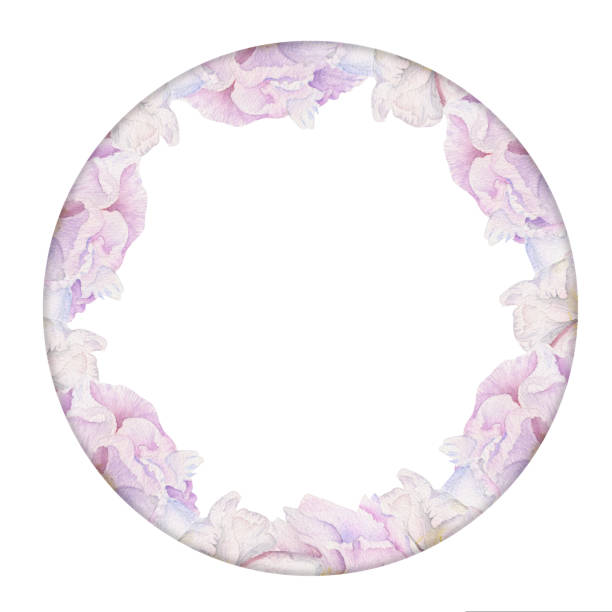 istock Watercolor circle frame arrangement with hand drawn delicate pink peony flowers, buds and leaves. Isolated on white background. For invitations, wedding, love or greeting cards, paper, print, textile 1433158482