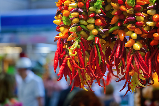 Colourful chilli ristra hanging from a stall in the main indoor food market, Mercat dl'Olivar in Palma, Majorca. Chilli types include Birdseye, Jwala, Cayenne, Jalapeno, Fresno, Paprika
