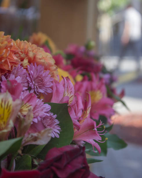 istock Colorful flowers 1433161544