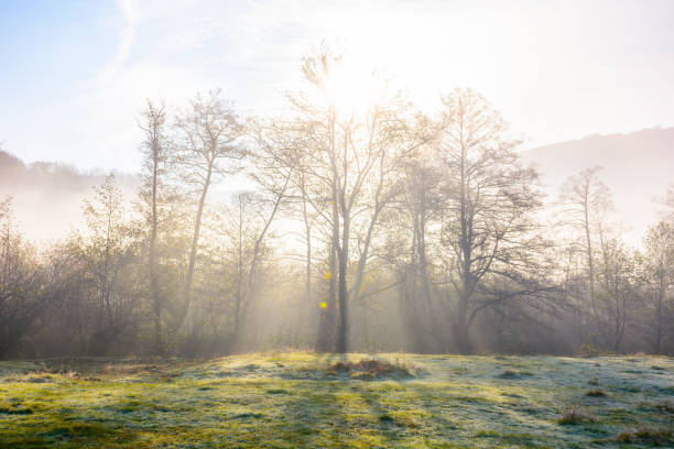 istock carpathian countryside on a misty autumn morning 1433165286