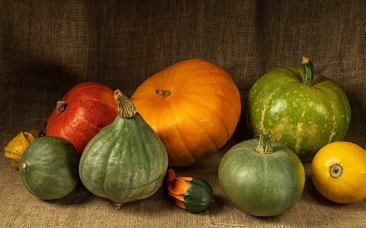 Group of natural unretouched pumpkins in different colors.