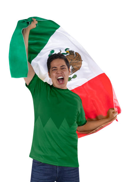 istock Soccer fan with flag in hands 1433167959
