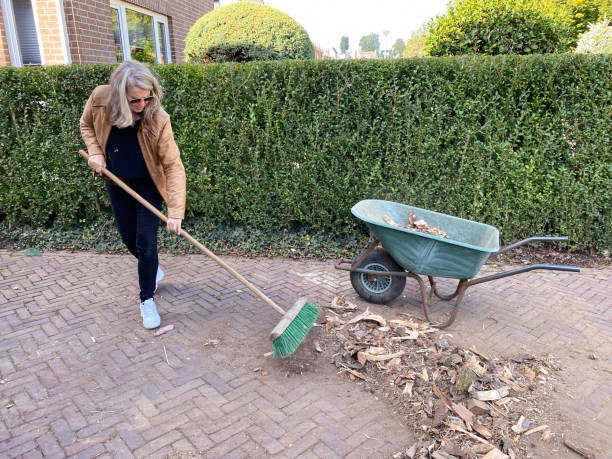 istock Cleaning after Delivering and storage of firewood 1433171704