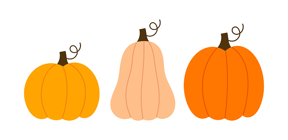 Three pumpkins icons on white background. Pumpkin varieties vector illustration.