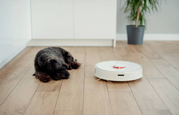 istock Interested puppy dog looking at vacuum cleaner robot 1433179967