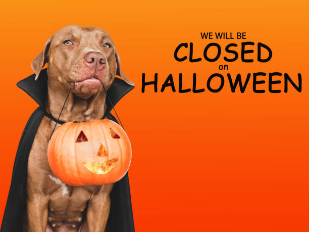 istock Signboard with the inscription We will be closed on Halloween 1433182163