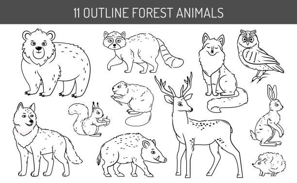 illustrazioni stock, clip art, cartoni animati e icone di tendenza di un insieme di animali forestali vettoriali. - cervide