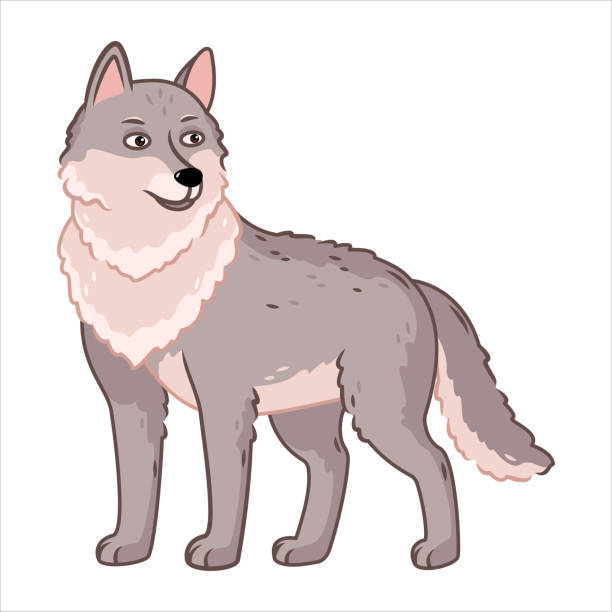 47 Gray Wolf Pack Illustrations & Clip Art - iStock | Gray wolves, Wolves,  Bison