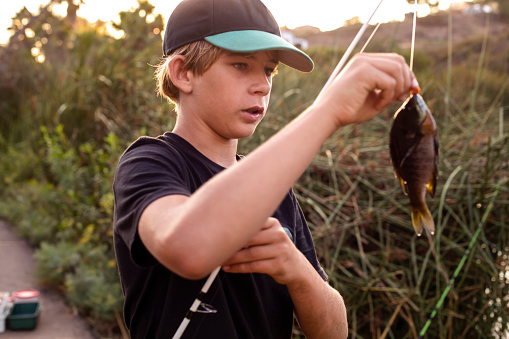 Close up of teenage boy with the fishing rod, looking at the fish he caught. Evening sunlight and blurred reeds on the background.