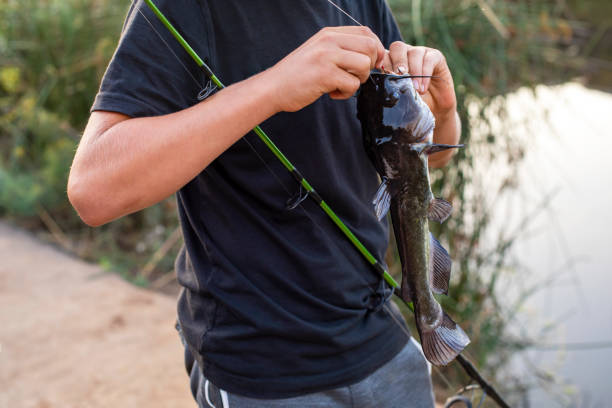 istock Young fisherman taking a fish off the hook 1433186310