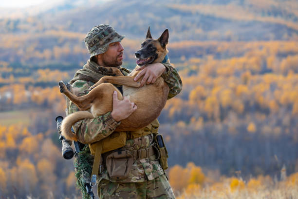 il soldato tiene in braccio il suo fedele amico - un cane della razza malinois. - belgian sheepdog foto e immagini stock