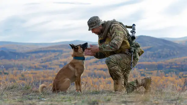 Photo of Soldier looks into the eyes of his faithful friend - a dog of the Malinois breed.