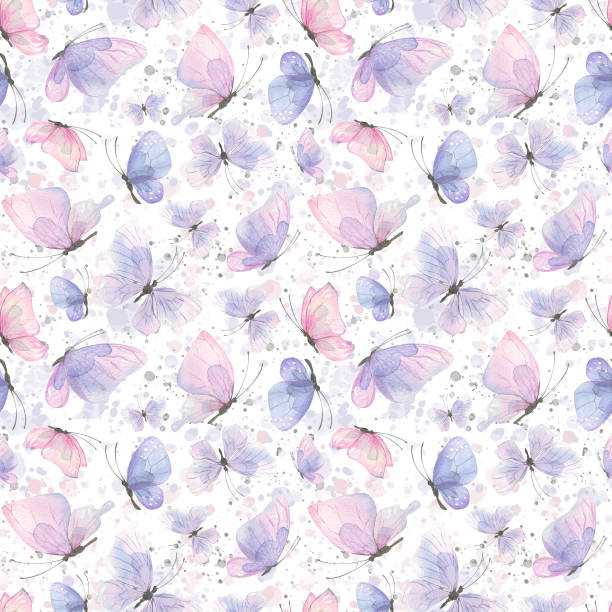 My Image 27