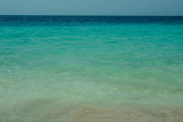 istock Summer beach, ocean waves on a tropical sea with deep blue wawes. 1433192150