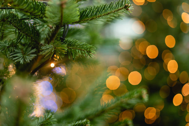 istock Blurred Christmas background for template. New year concept, unfocused lights and copy space. Abstract bokeh, close-up photography 1433192204