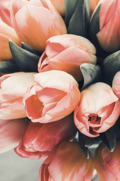 istock Spring flowers. Tulip bouquet on the bokeh background. 1433192225