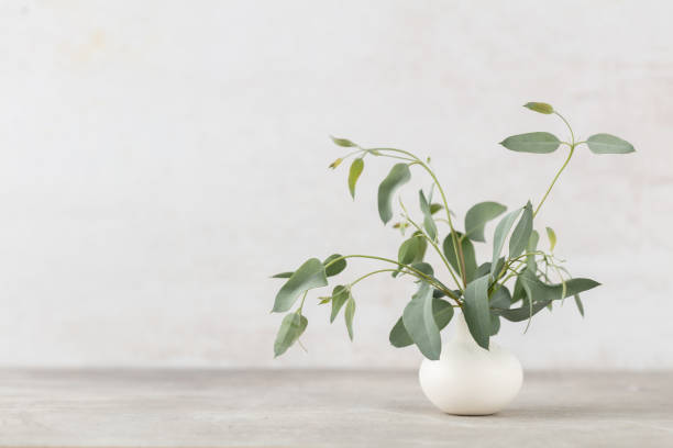 istock Green eucalyptus leaves in vase. Front view. Place for text, copy space, mockup. 1433193045