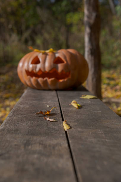 istock Blurred Halloween pumpkin on wooden bench 1433194020