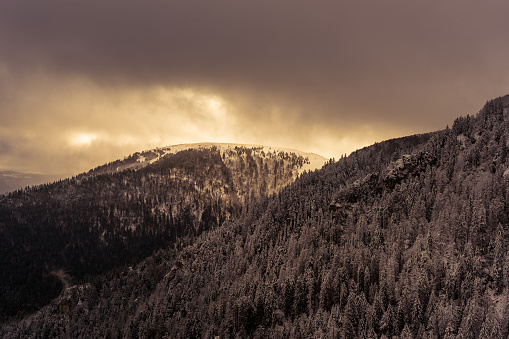 Hill top in forest landscape higlighted by warm light