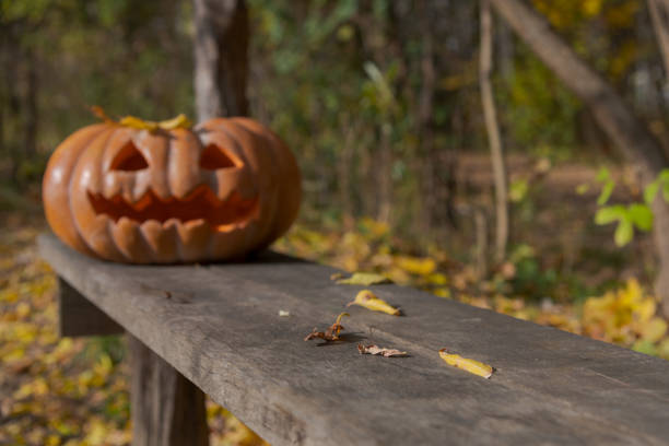 Blurred orange traditional Halloween pumpkin with carved Jack O' Lantern face lies on wooden bench in autumn public park. Focus on bench surface. Copy space for your text. Holiday decoration theme.