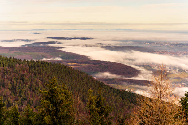Wide valley with forest, spruce trees and small villages covered in low fog in the afternoon
