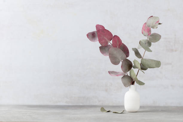 istock Green eucalyptus leaves in vase. Front view. Place for text, copy space, mockup. 1433195158