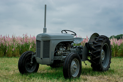 Tractor in field of flowers