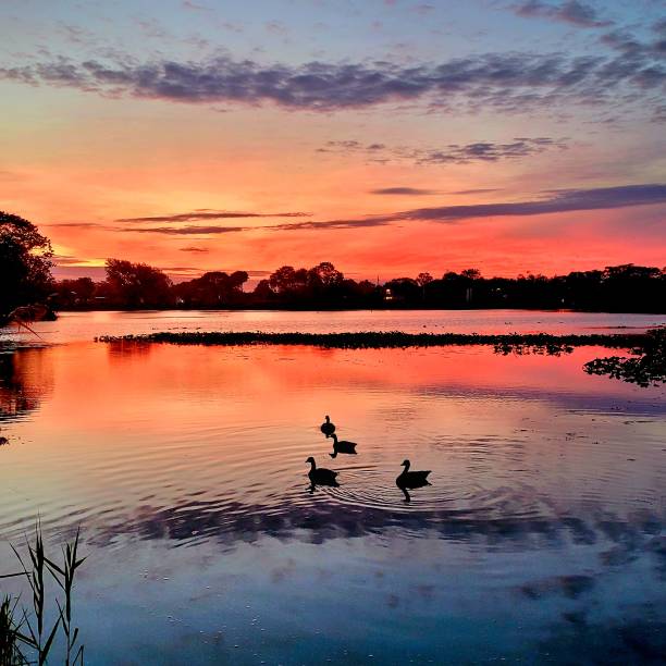 istock Colorfully sunrise at the lake 1433197533