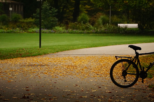 Autumn in Upper Bavaria. German golden autumn and cycling. Autumn in Bad Aibling.